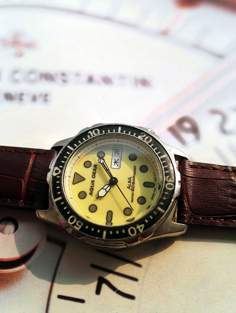 alba solar diver